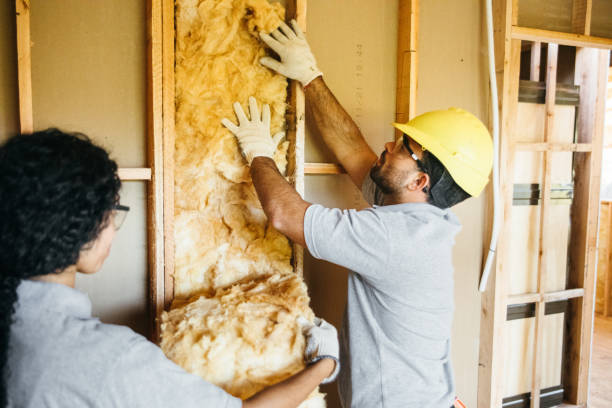 Best Insulation for New Construction  in Sunnyslope, WA